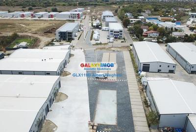 Hale Industriale Centura Rudeni Chitila Centura 415 mp/978 mp Hale Industriale Centura Rudeni Chitila Centura 415 mp/978 mp - 18