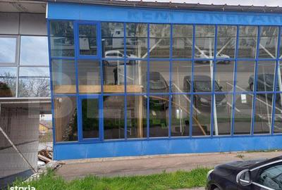 Spațiu comercial, de 230 mp, în Narciselor - 5