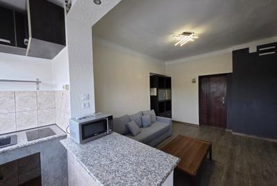 Apartament cu 2 camere semidecomandat, mobilat în Cișmigiu - 4