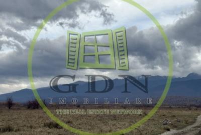 Teren agricol extravilan de 1000 mp, în Avrig - 2