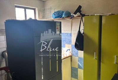 Casa + hala, oportunitate de afacere in zona industriala - 5