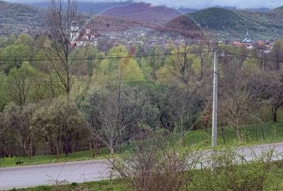 Teren de 4780 mp, în Vad