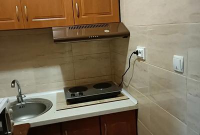 Proprietar inchiriez apartament cu o camera in Timi?oara - 3