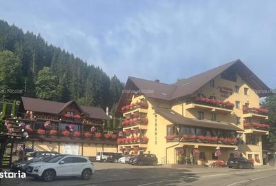 Casă cu Teren 7500 Mp în Sadova - 3