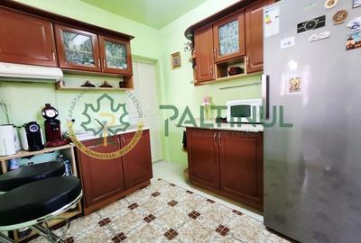 Casă Turnișor - 280 mp utili, teren 515 mp, curte și grădină pe rod - 5