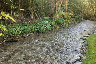 Teren de 900 mp, în Govăjdia - 5