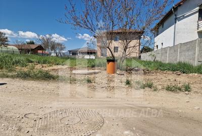 Teren Construcții intravilan de 356 mp, în Cetate - 9