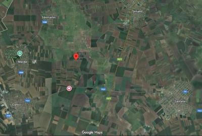 Teren agricol extravilan de 3000 mp, în Șimand - 2