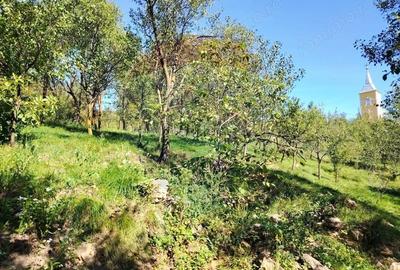 EXCLUSIVITATE! Casa veche si teren 30 ari, centru Mirsid - Comision 0% - 6