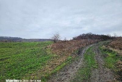 Teren de 24200 mp, în Muntenii de Jos - 3