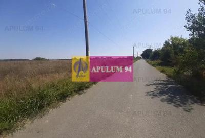 Teren de 1300 mp, în 1 Decembrie - 14