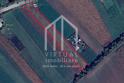 Teren agricol intravilan de 6695 mp, în Șura Mare - 1