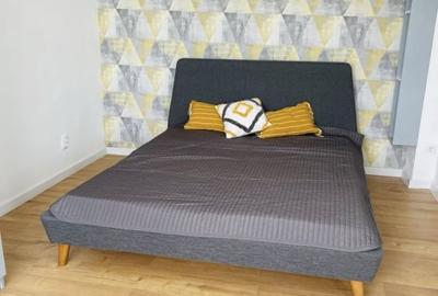 Apartament 1 camera 40mp, etaj intermediar, zona Piata Marasti - 2