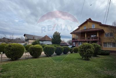 Casă cu 5 camere cu Teren 3156 Mp în Gura Ocniței - 3