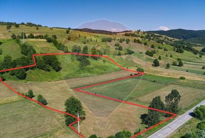 Teren Manastirea Humorului / Strada Principala 22,238 MP - 3