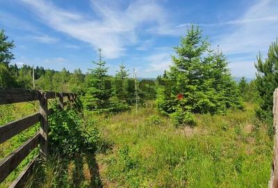 Două loturi a cate 6 terenuri în Călățele-Pădure, | 3526 mp - 1728 mp - 6
