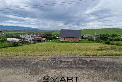 Teren intravila Sura Mare 1000mp - 2