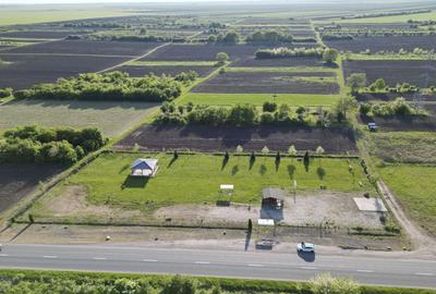 Inchiriere platforma teren 4.000 mp Curtici - 12