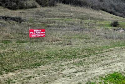 Teren Construcții intravilan de 1250 mp, în Vernești - 2