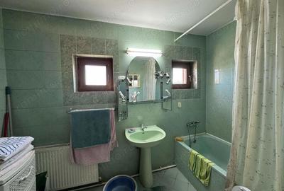 Casă cu 6 camere cu Teren 4057 Mp în Găneasa - 13