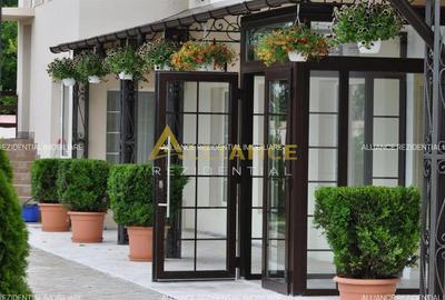 Teren intravilan de 20000 mp, în Berceni - 3