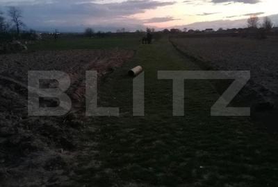 Teren intravilan 2900 mp cun toate utilitatiile la front in Vintu de Jos