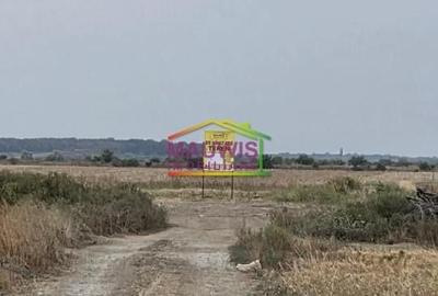 Otopeni /strada Alexandr Ioan Cuza - 3