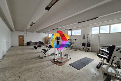 Spațiu industrial, de 2,666 mp, în Bartolomeu - 4