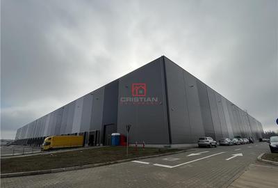 Spațiu comercial, de 10,000 mp, în Ștefăneștii de Jos - 2