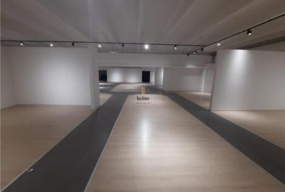 Spatii Comerciale - 500 mp - Showroom - Comert - 13