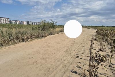 Teren de 6240 mp, în Popești-Leordeni - 2