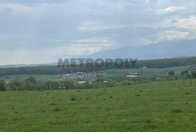 Teren intravilan 438 mp | Calea Cisnadiei - Str. Zorilor | Potential excelent - 5