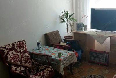 Apartament 3 camere Baia - 3