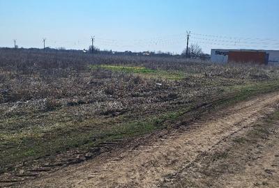 Crevedia - teren 10.000 mp. intravilan Crevedia - teren 10.000 mp. intravilan - 7