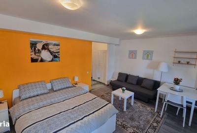 Garsonieră în Nord - 9