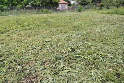 Teren de 5000 mp, în Corbii Mari - 6