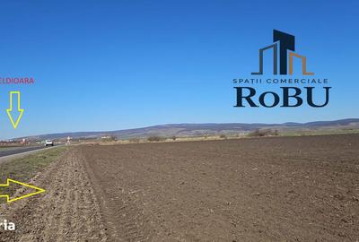 Teren de 9611 mp, în Feldioara - 3