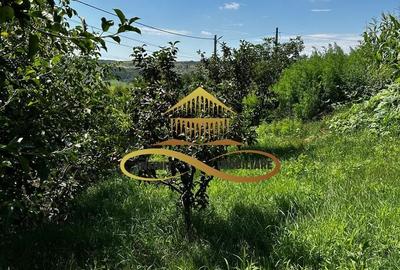 Casă individuală cu 3 camere cu Canalizare în Secuieni - 18