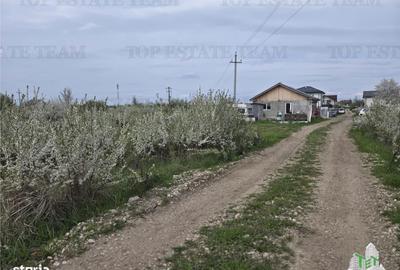Spațiu comercial, în Joița - 4