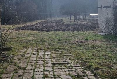 Teren de 3700 mp, în Certeju de Sus - 5