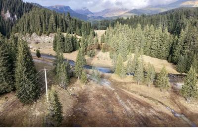 Teren de vânzare – Oportunitate investițională - Peșteră–Padina - 6