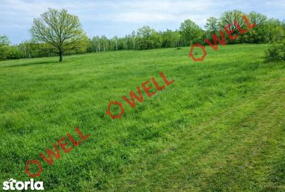 Teren de 884 mp, în Brăduț - 1