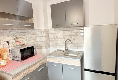 Garsonieră decomandată, mobilată în Nicolina - 8