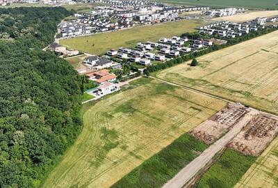 Teren l in proximitatea Amber Forest Teren l in proximitatea Amber Forest - 5