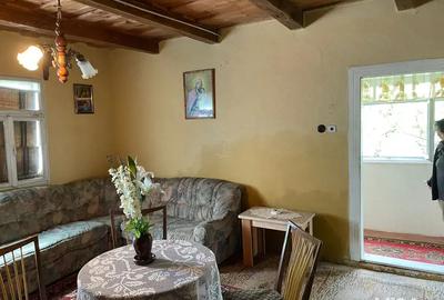 Vand casa in Sebis 2200 mp teren - 2