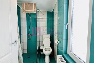 Afacere la cheie | Vila de 3 stele | Paltinis | amenajata complet - 20