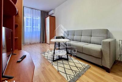 Apartament cu 2 camere în Șega - 11