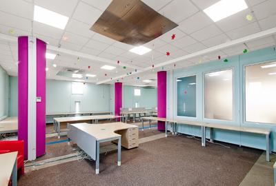 Bulevardul Cosbuc 116-118 - MaxFit - Birouri Premium - 11