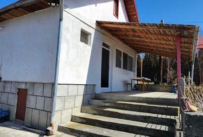 Casă cu 3 camere în Pietroșița - 7