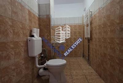 Spațiu Comercial - Astra - 8